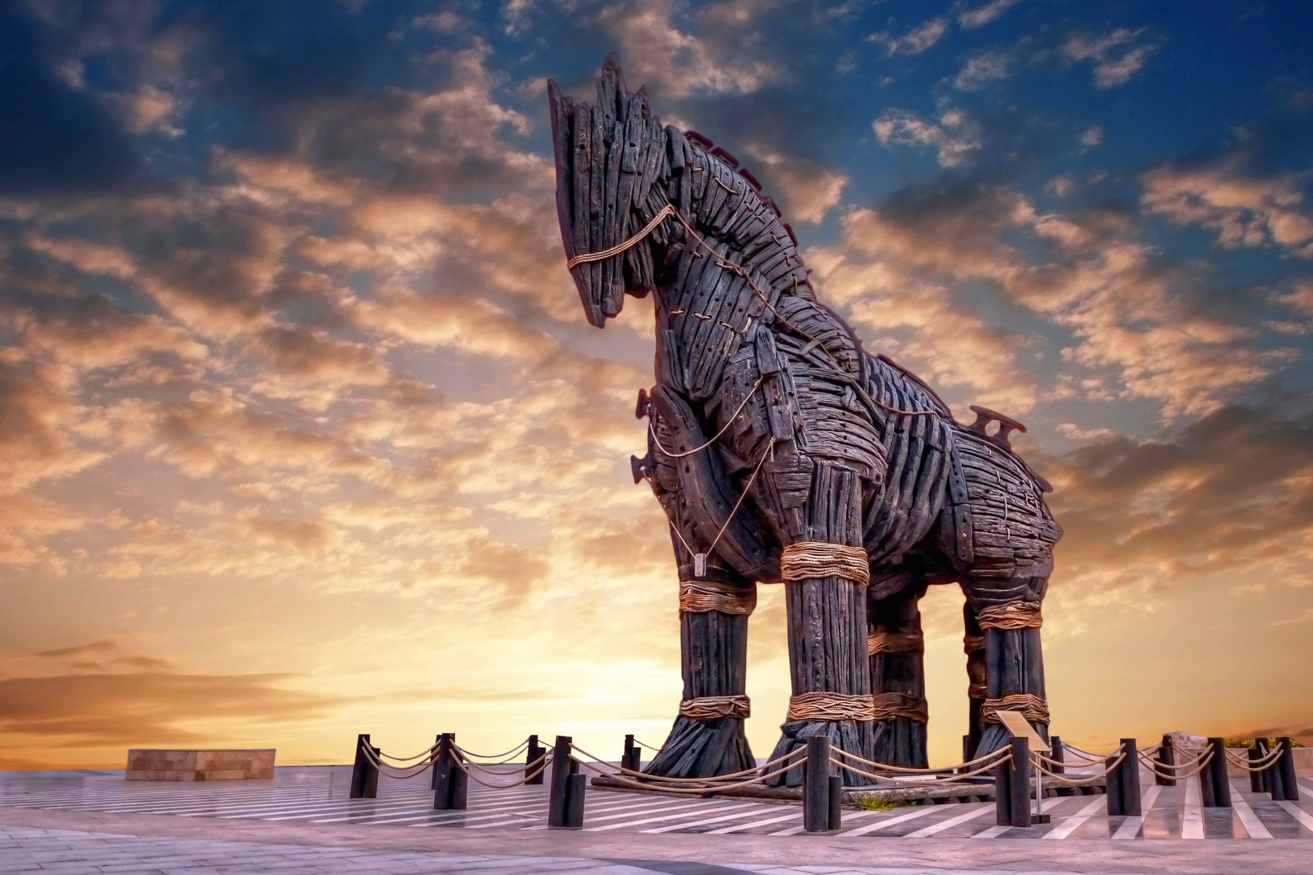 ERP a gift of gods or a Trojan Horse? - LOVIS